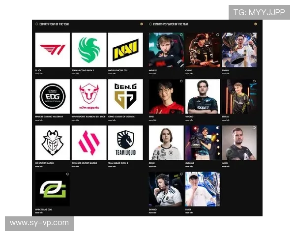EDG战队在DOTA2赛事中的经验分享与战术解析
