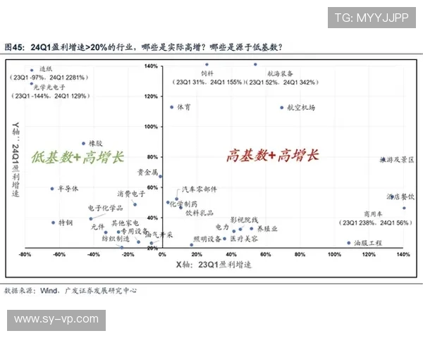广州飞盘队的成功运营模式与发展策略深度解析