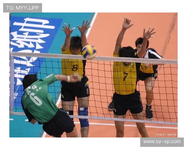 成都排球队的训练与比赛状态全景揭秘，展现排球运动的魅力与团队精神