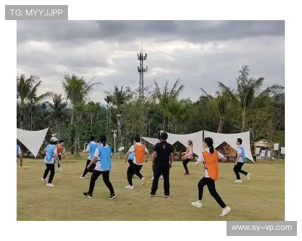 成都飞盘队技术分析与战术探讨助力团队提升竞技水平