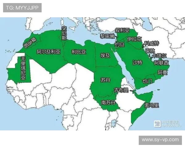 巴勒斯坦与叙利亚亚的历史渊源与未来展望分析