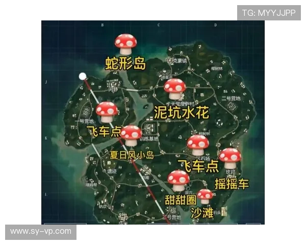 和平精英战术分析：BLG快攻策略背后的深层思考与实践