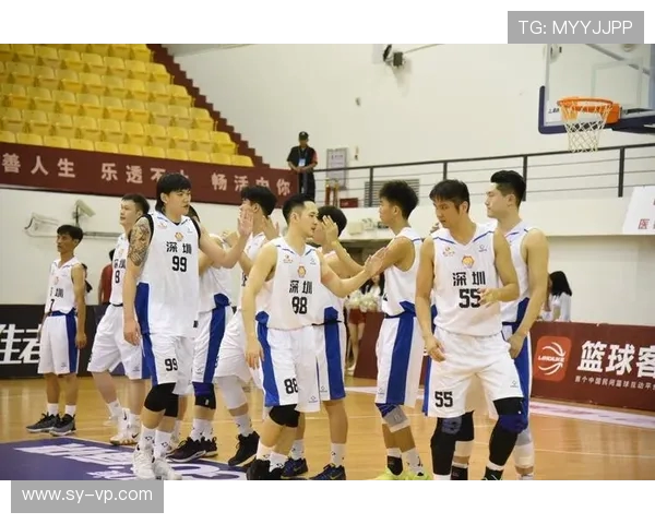 成都篮球队领跑最新灵活性排行榜前十名球队分析与展望