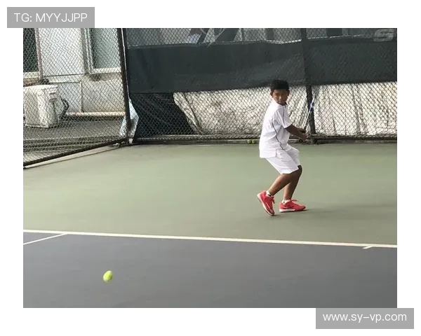 武汉网球队的包夹策略分析与成效评估探讨 武汉网球队的包夹策略分析与成效评估探讨