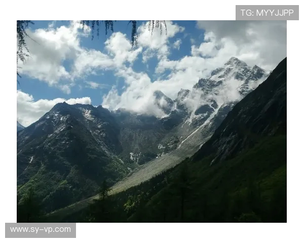 攀岩高手张强分享成功秘诀与训练心得的独家专访